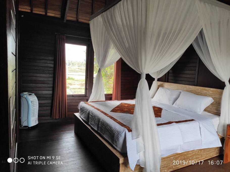 Tegeswoodhouse,Private Pool,Two Bedrooms And Free Wifi أوبود المظهر الخارجي الصورة